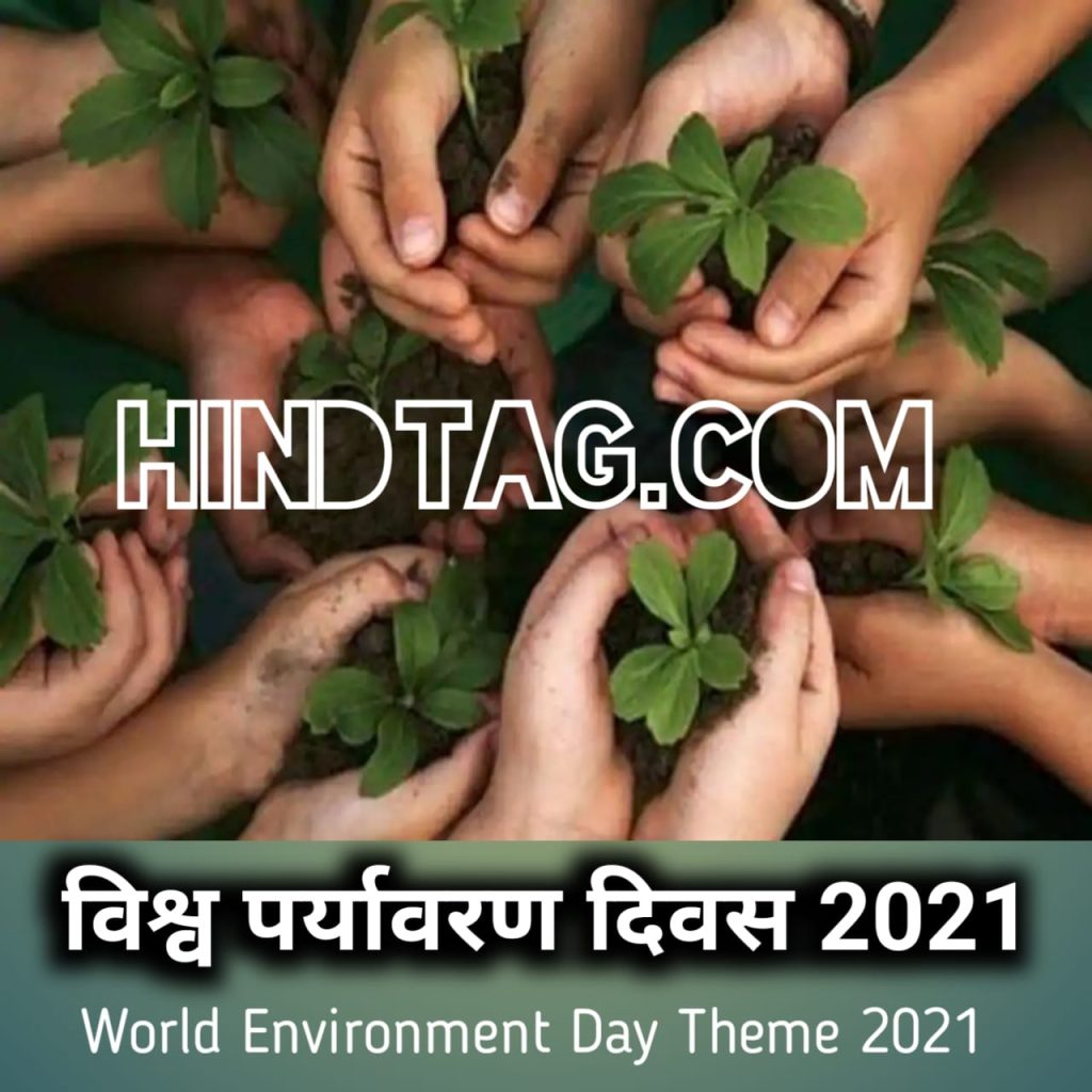 world environment Day 2022 theme
