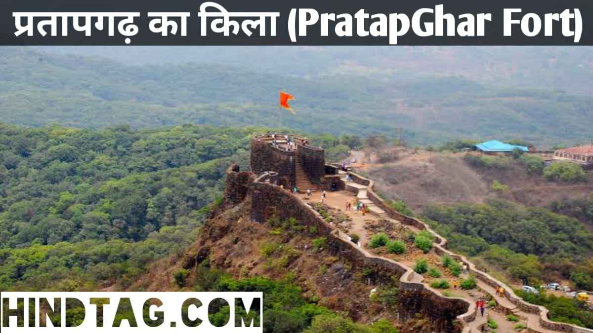 Raigad Fort,Shivneri Fort,Purandar Fort,Sindhudurg fort ,Suvarnadurg Fort ,Lohgad Fort ,Arnala Fort ,Pratapgad Fort