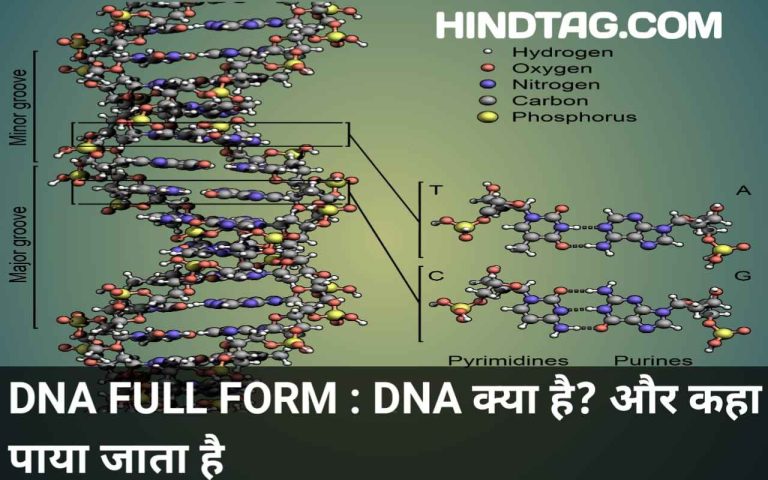 DNA Full Form : DNA क्या है