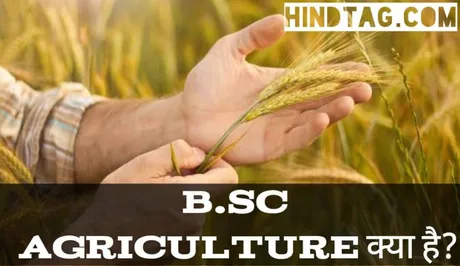 B.Sc. agriculture